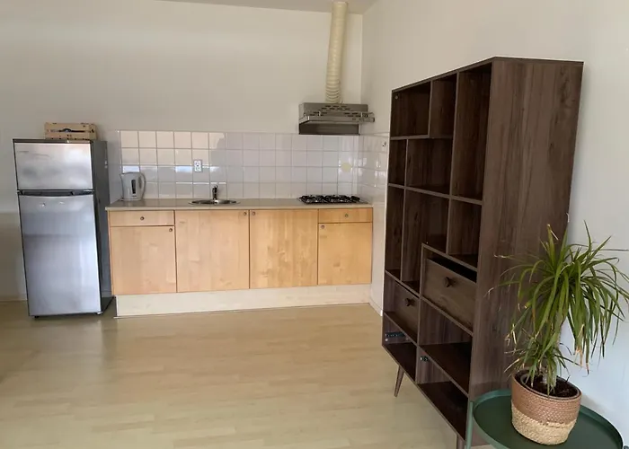 Zaanse Schans And Amsterdam דירה Wormer