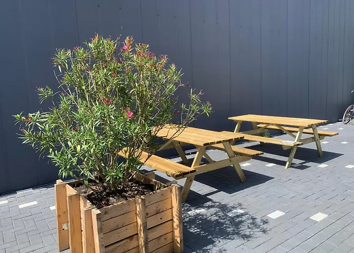 Zaanse Schans And Amsterdam